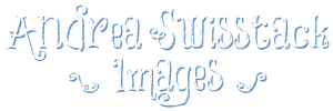 Andrea Swisstack Images